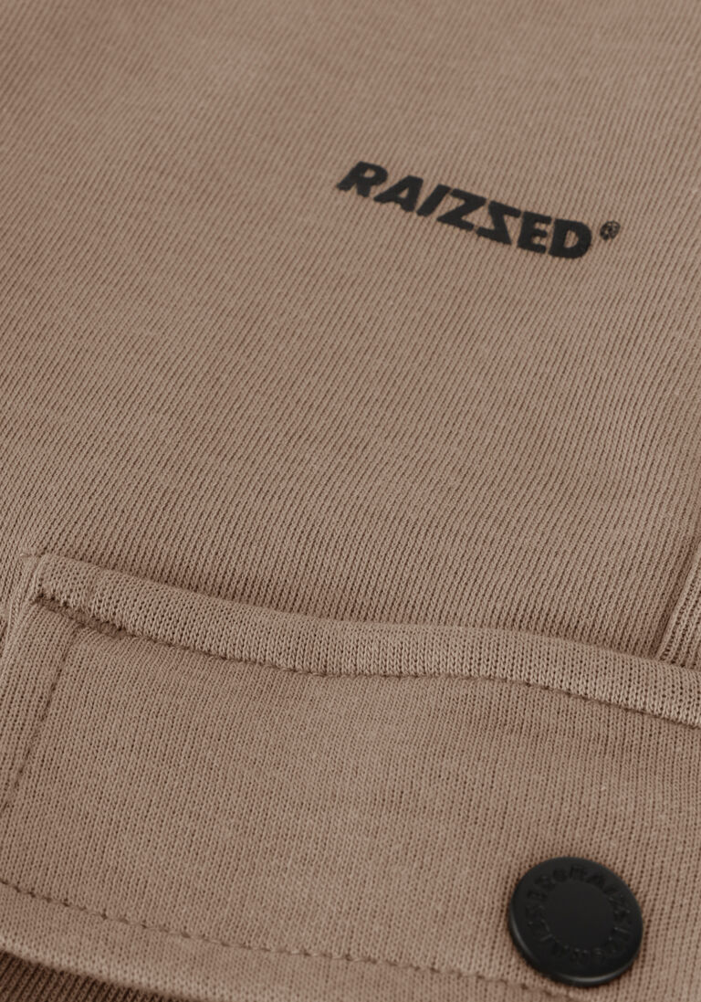 RAIZZED bruine raizzed cargobroeken sumter