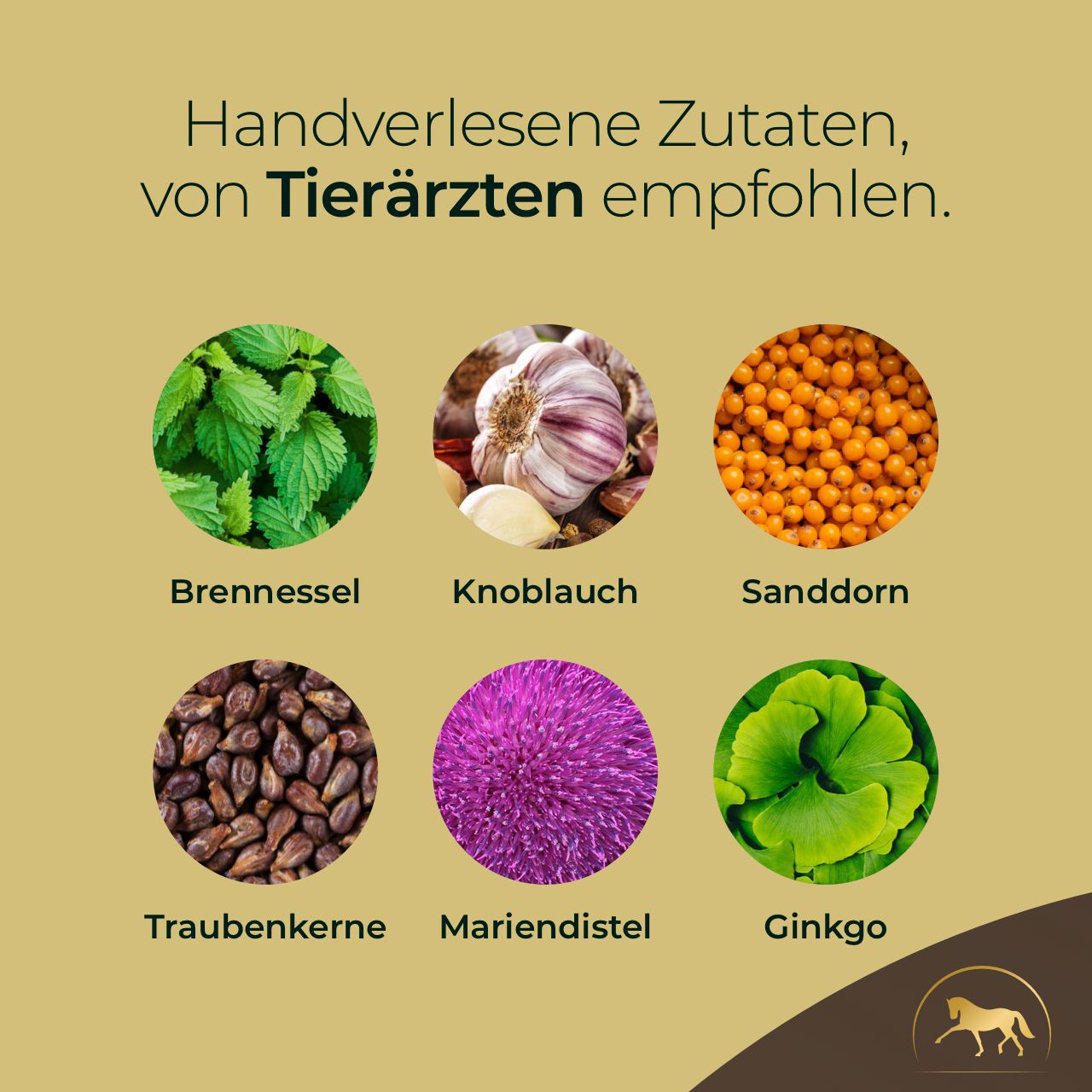 Pferdegold® Haut & Fell