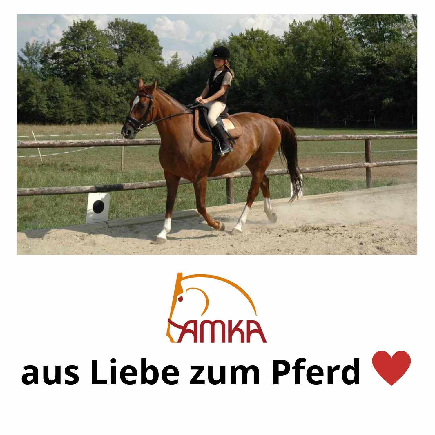 AMKA Sattel VS aus Leder