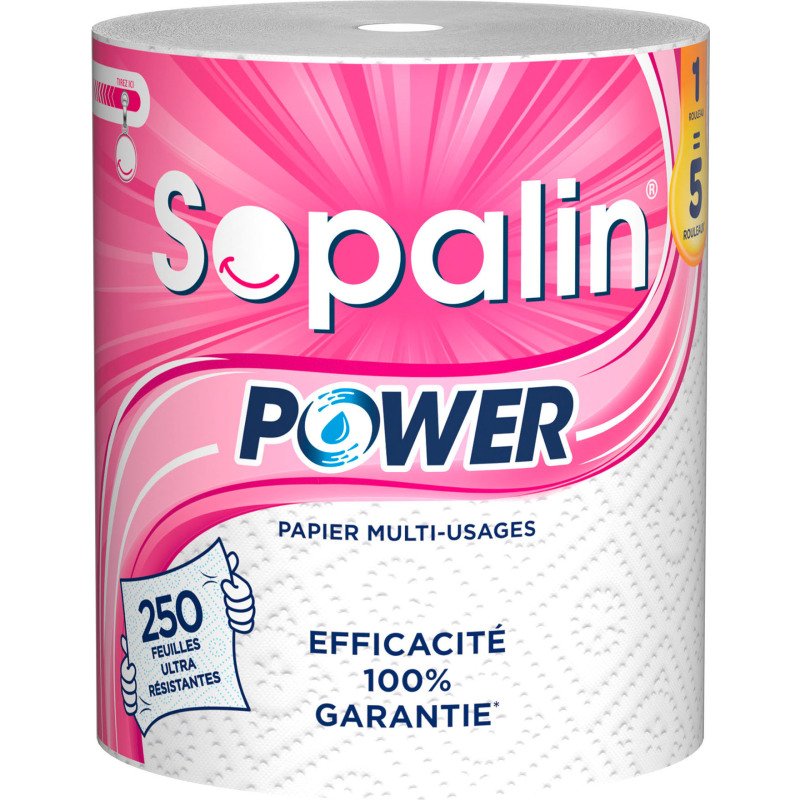 Essuie-tout Sopalin Power