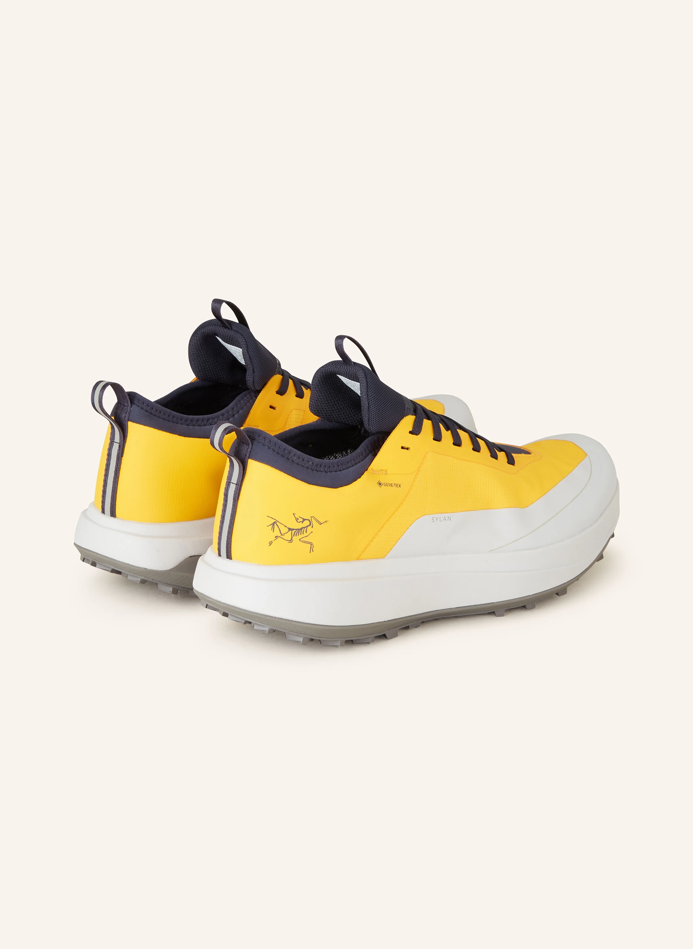 ARC'TERYX Trekkingschuhe SYLAN GTX