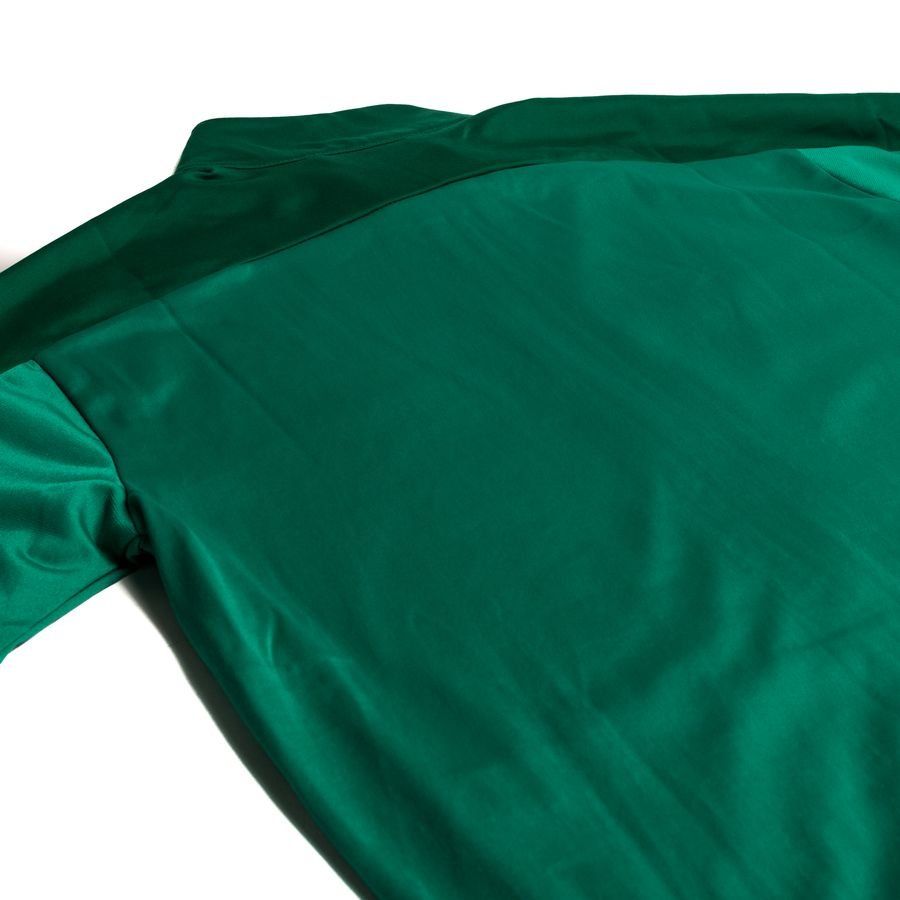 PUMA Veste d'Entraînement teamGOAL 23 - Vert/Vert