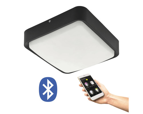 LED buitenplafondlamp 14W 1400 lm 3000K 25x25 cm zwart/wit