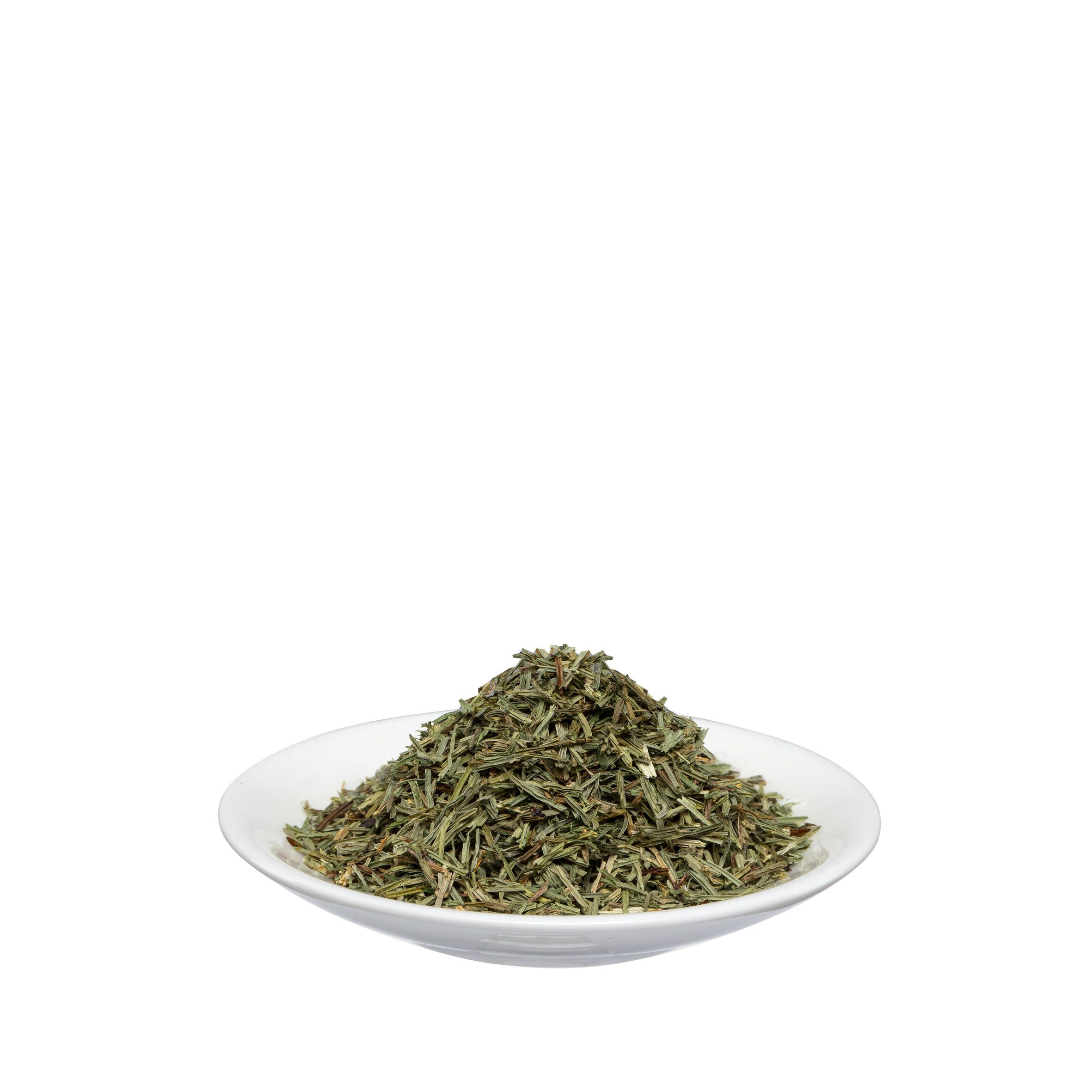 Salus® Zinnkraut