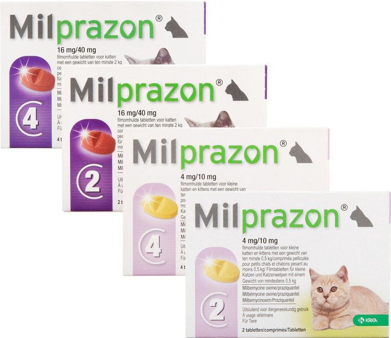 Milprazon Ontworming Tabletten Grote Kat 4 stuks