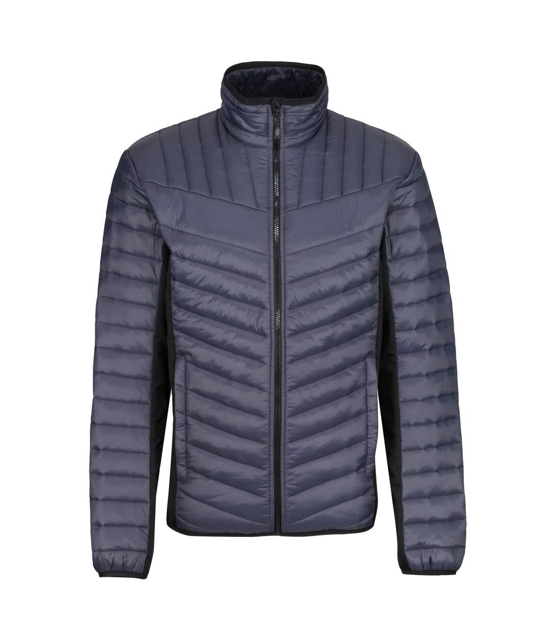 Regatta - Veste TOURER - Homme (Anthracite / Noir) - UTRG6354