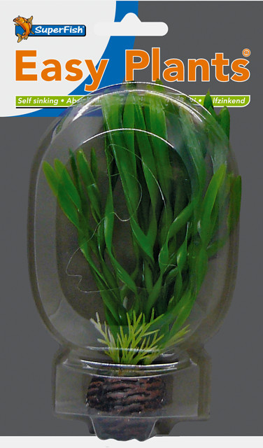 Easy plants voorgrond 13cm NR.6 | decoratie
