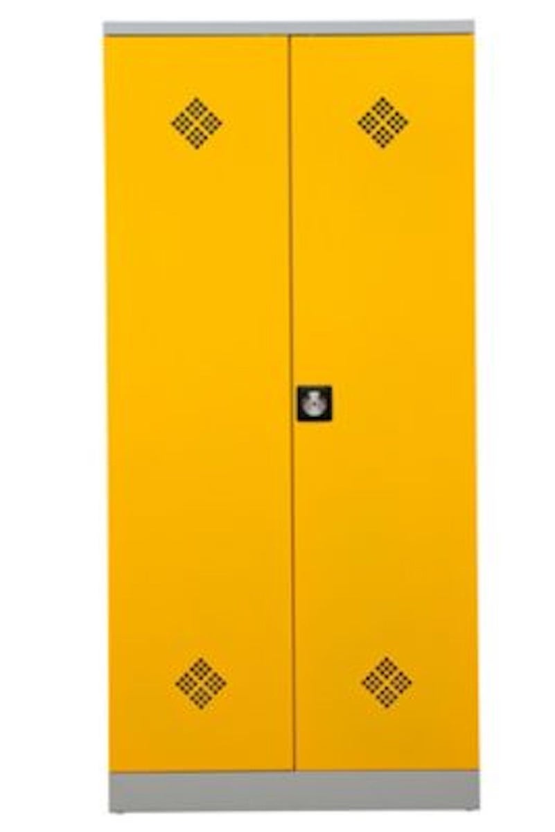 PROREGAL gevaarlijke stoffen kast Slang HxBxD 195 x 92 x 42 cm Grijs-Koolzaad Gel