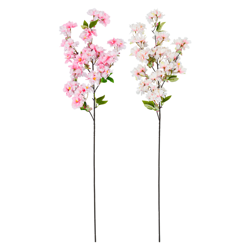 Fleurs de cerisier