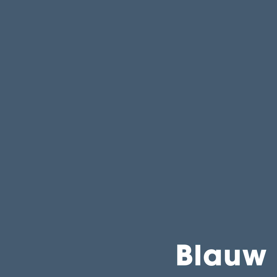 Muurverf Mat Blauw 2.5 l