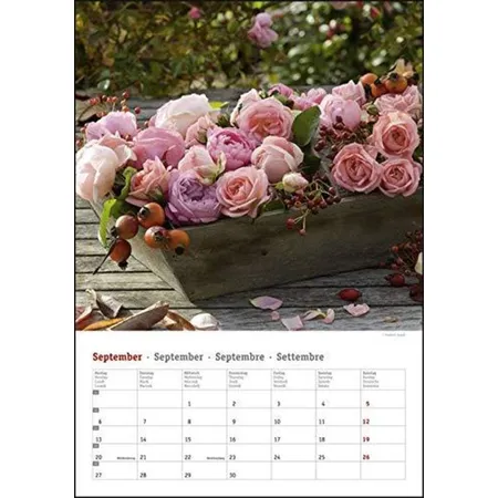 Heye Bildkalender Rosenpracht 2021