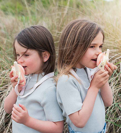 The Zoofamily Walkie Talkies - Dino Pink/Dino  Grøn