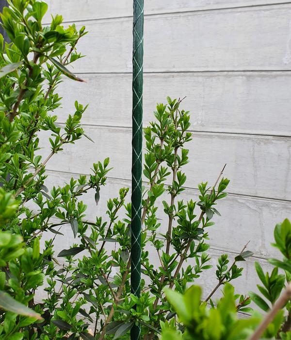 Dehner Fiberglas-Pflanzenstab