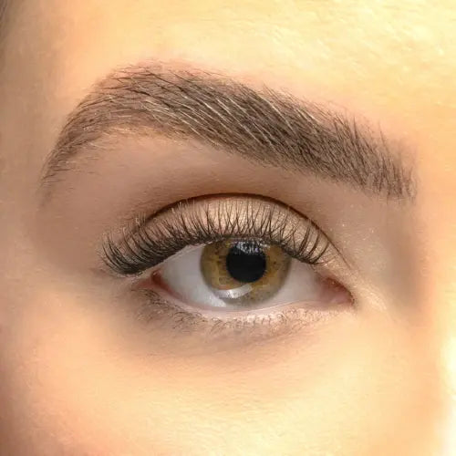 Classic DIY Cluster Lashes