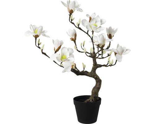 Kunstmagnoliaboom, 71 cm hoog, wit