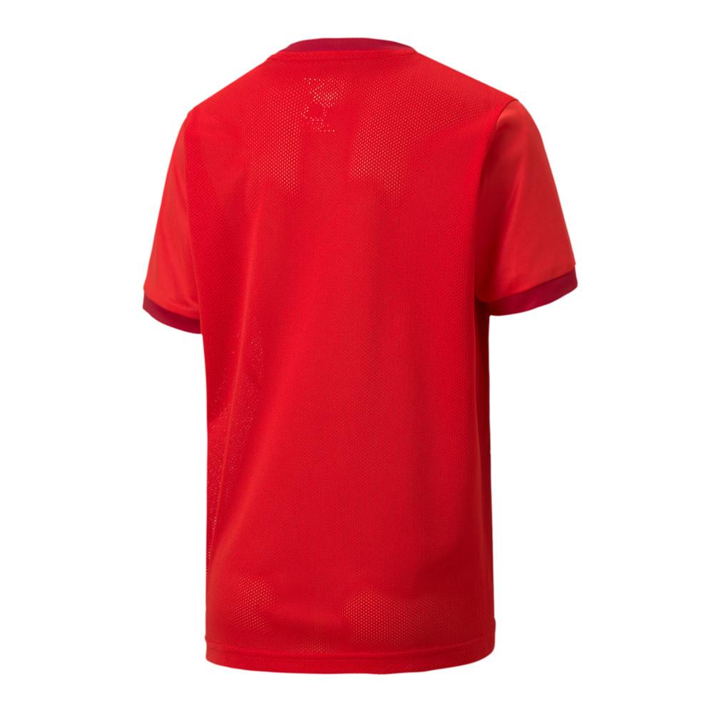 Puma Maillot de foot Rouge Garçon Puma Goal 23