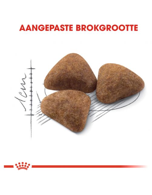 Royal Canin Indoor 27 - Kattenvoer