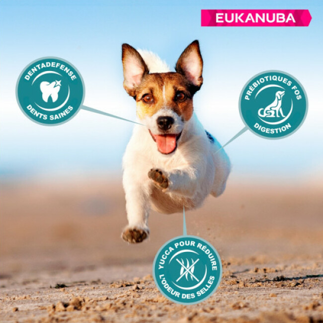 Croquettes Eukanuba Adulte Petites Races