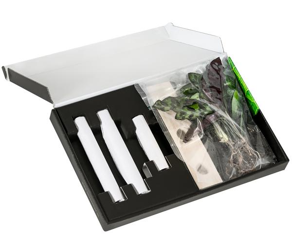 Waterplant-Set in Reagenzgläsern, 3-teilig