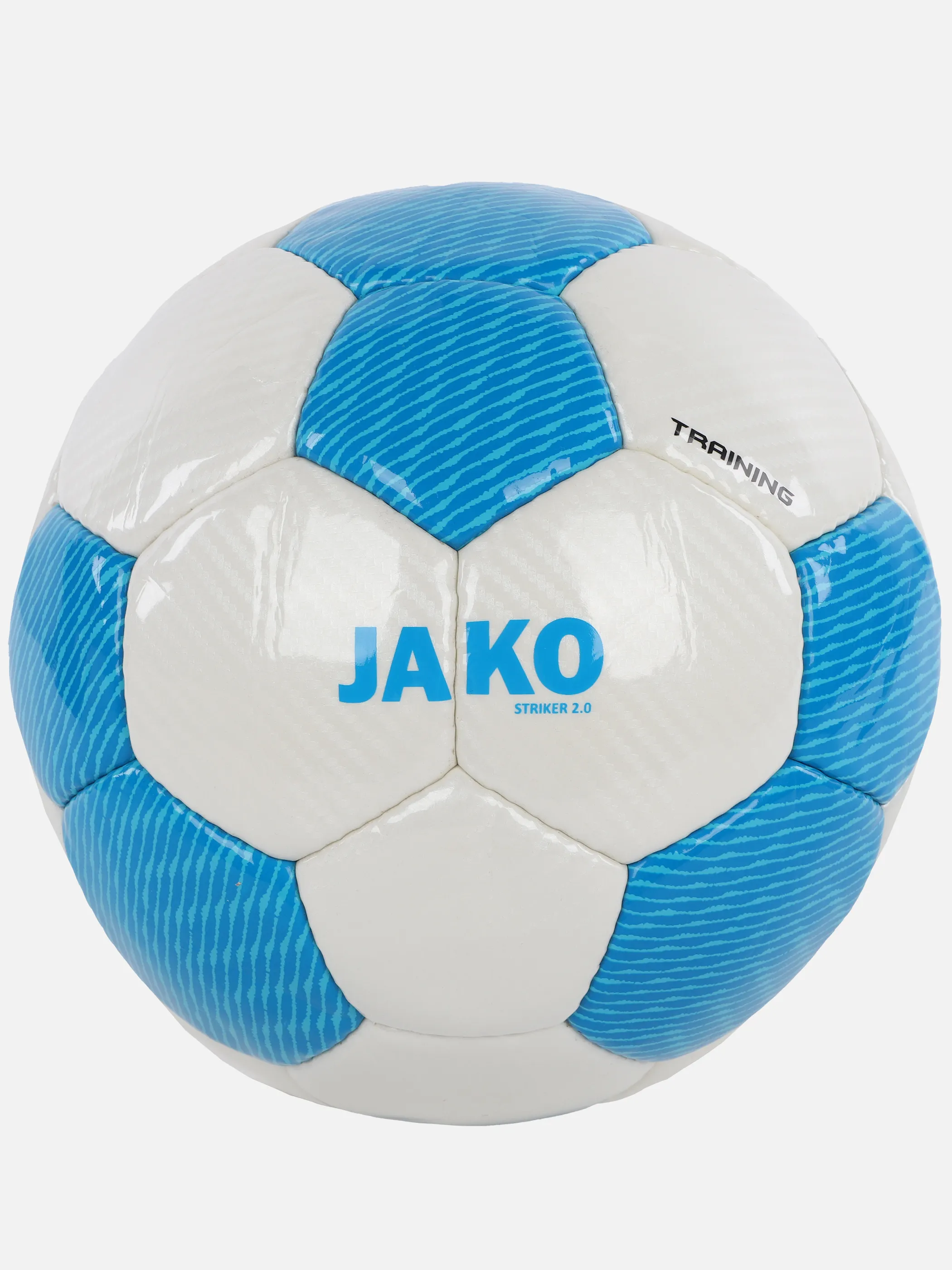 Trainingsball 