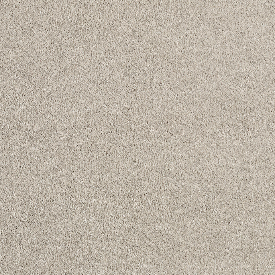 Staal Tapijt Canora Beige