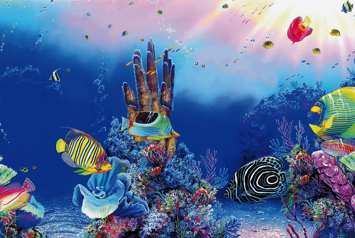 SuperFish aquarium decoratie Poster F1 multi 60 x 30 cm