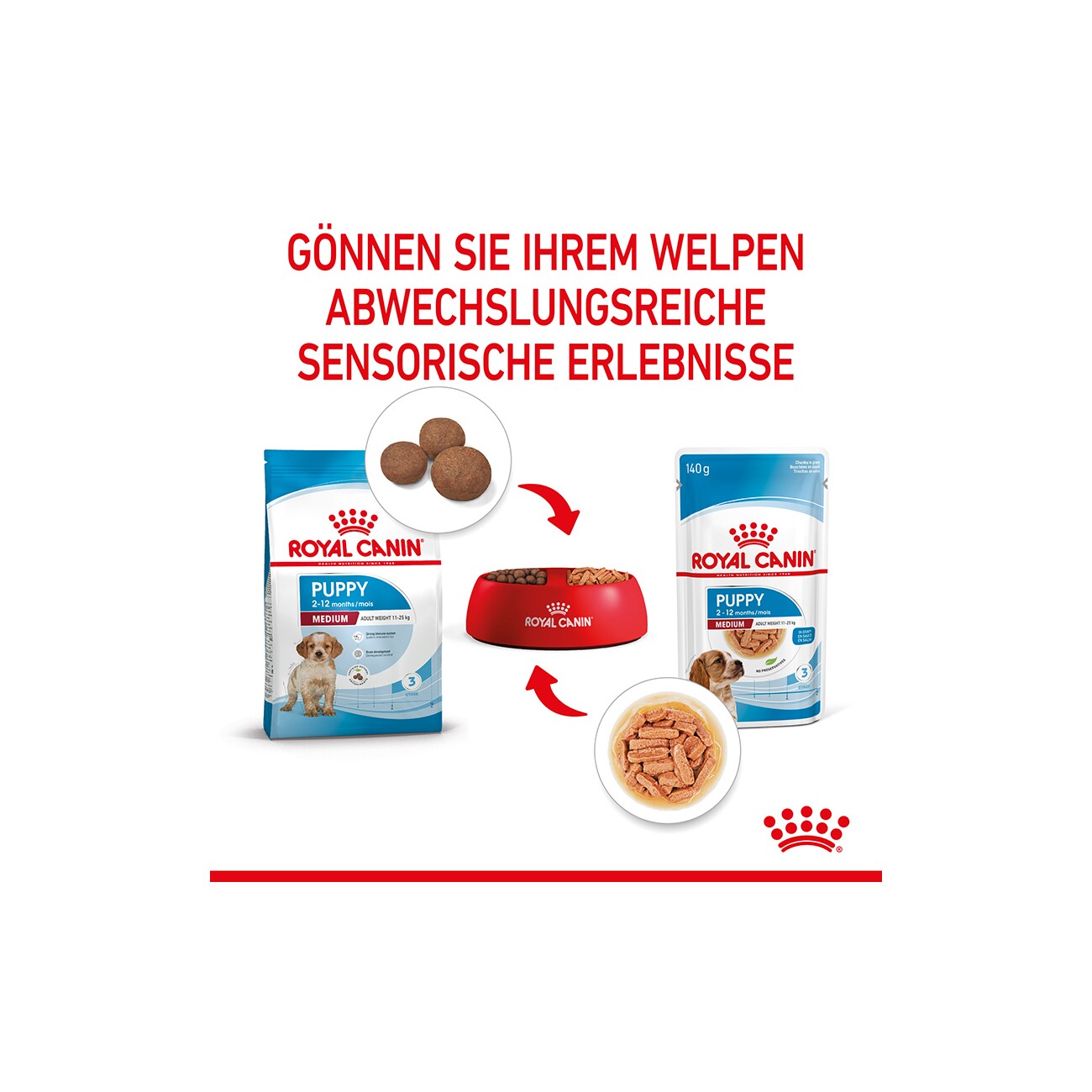 ROYAL CANIN Medium Puppy in Soße 10x140 g