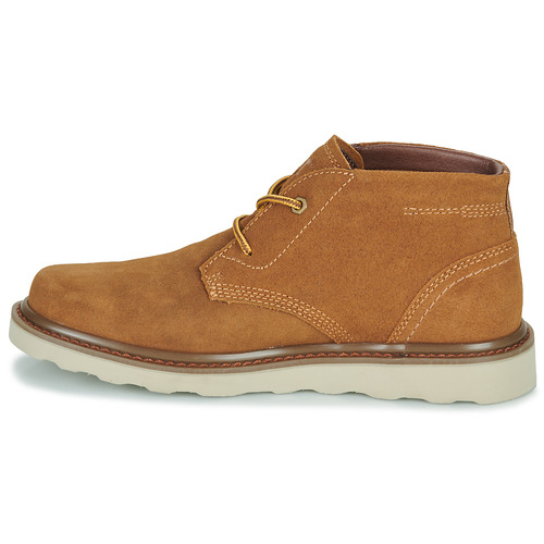 Caterpillar - NARRATE CHUKKA - Marron