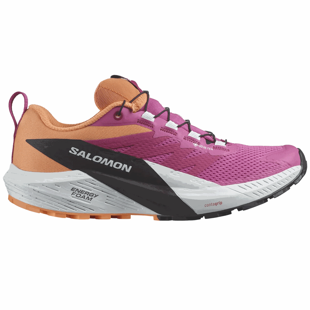 Salomon<br>Sense Ride 5 GTX W