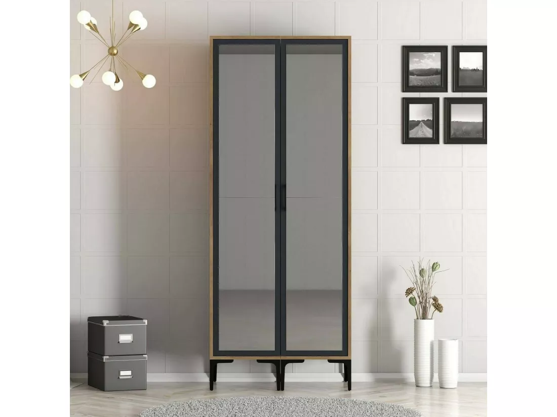 Garde-robe 2 portes Dpret, Meubles de chambre, Penderie de plain-pied, Placard à vêtements, 80x201h48 cm, Noyer et Anthracite