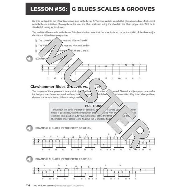 Hal Leonard 100 Banjo Lessons