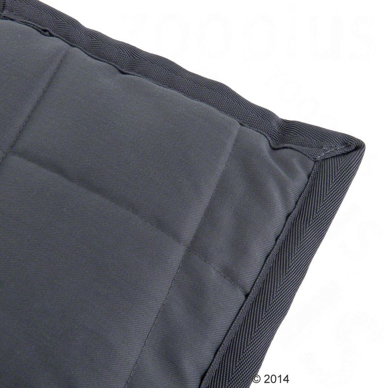 Couverture Freedom Bone