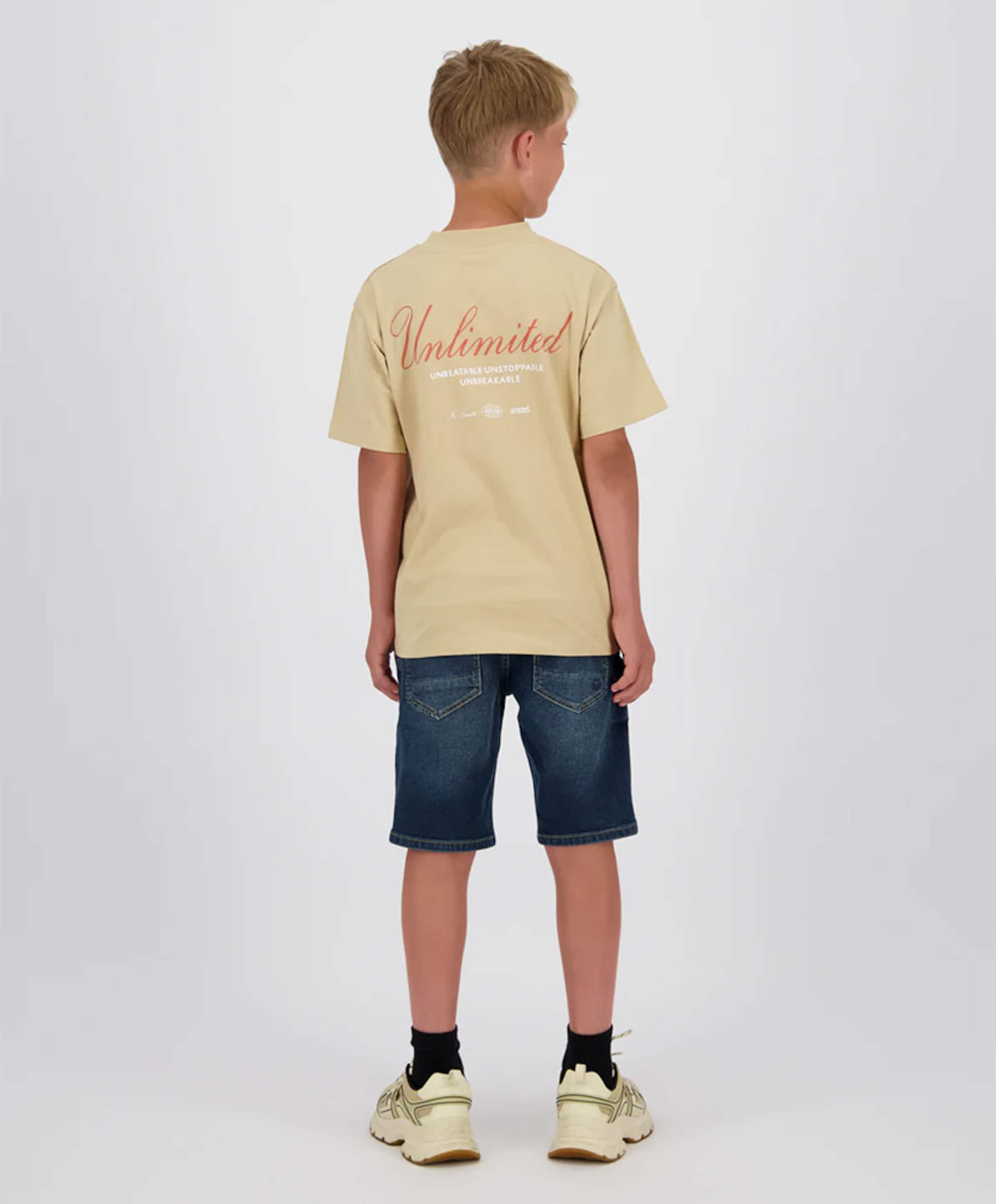 Raizzed Jongens T-shirt beige