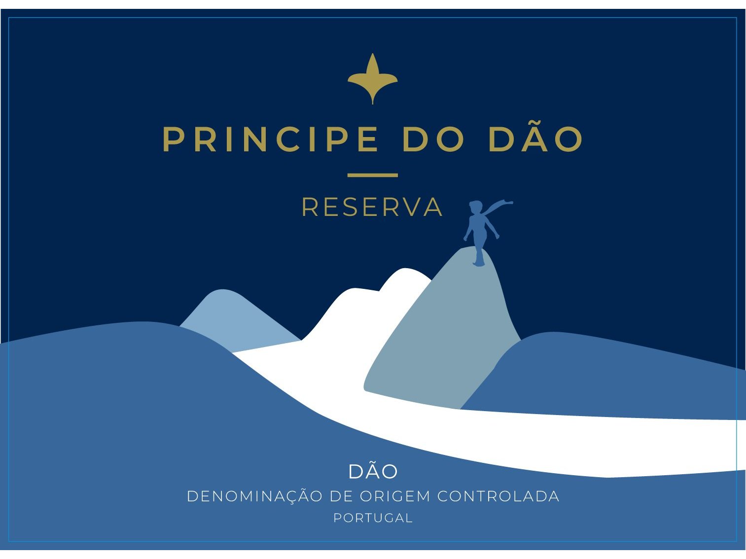 VINHO TINTO PRINCIPE DO DÃO RESERVA 0.75L