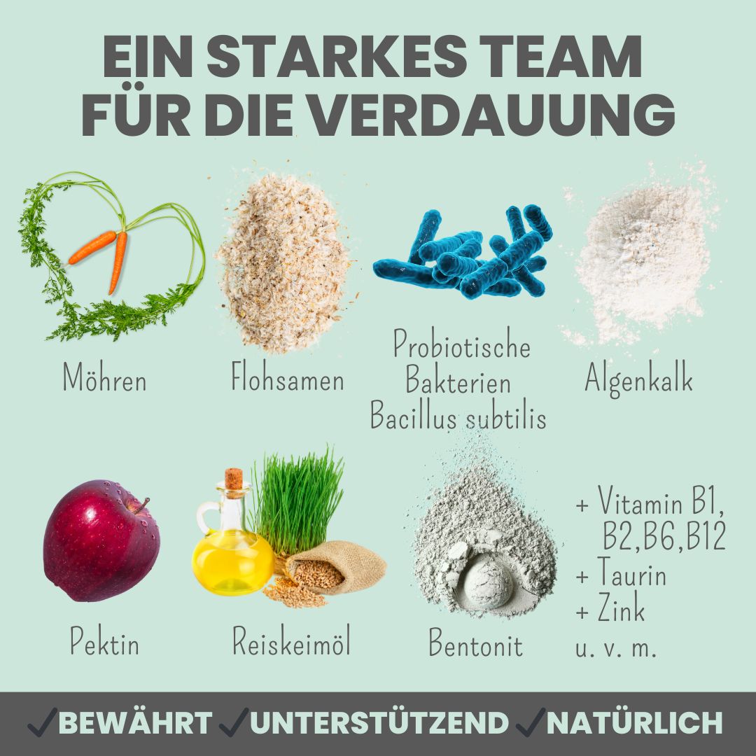 noms+ Verdauungsmix für Hunde & Katzen als Probiotikum für Magen- & Darmflora