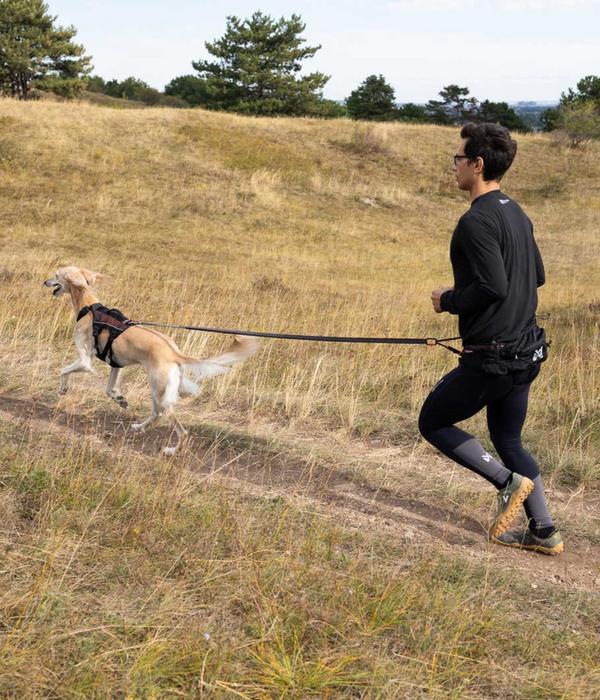 Non-stop dogwear Bauch-Laufgurt Trail light