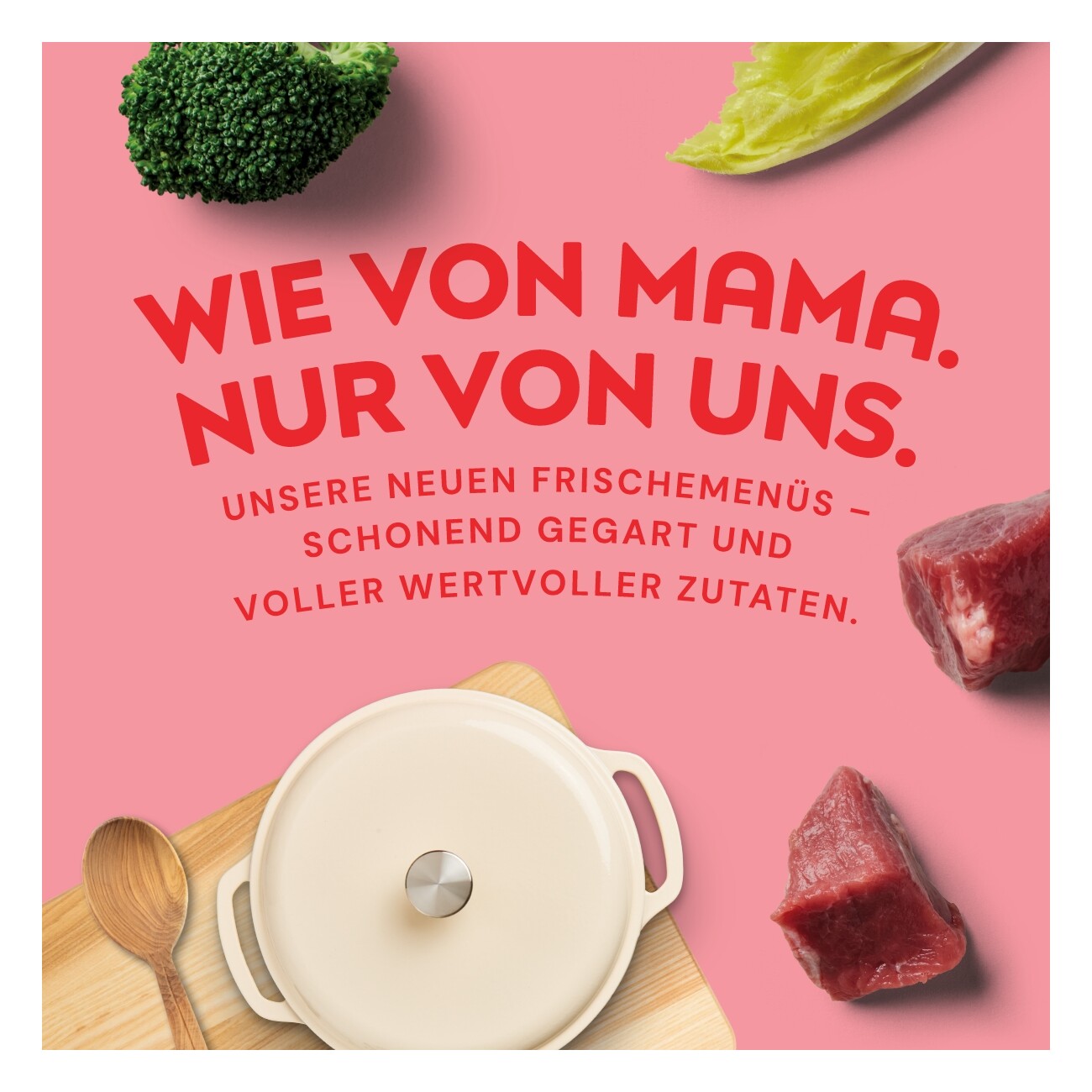 Nutriment Frischemenü Rind, Chicorée & Brokkoli 20x400 g