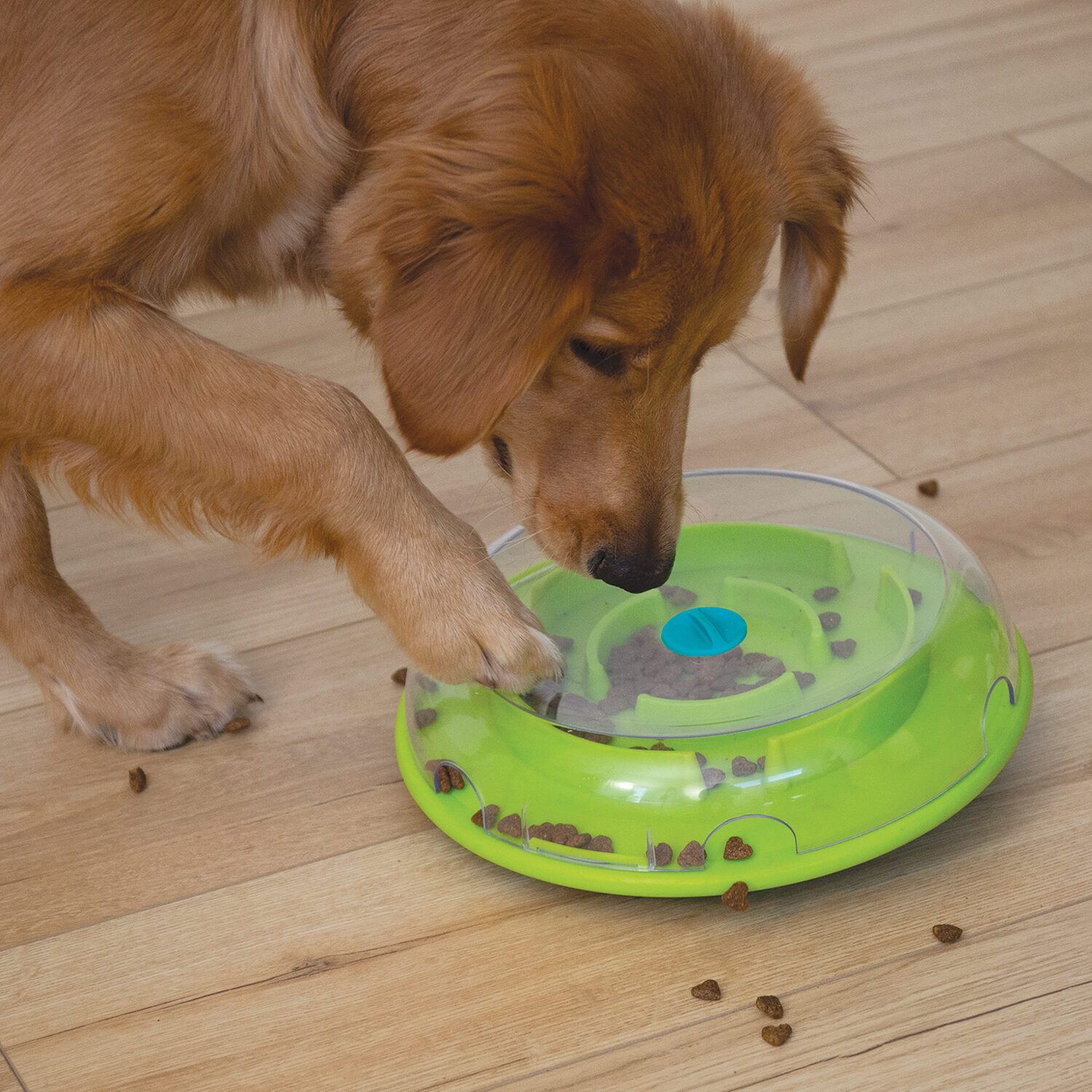 Nina Ottosson Wobble Bowl
