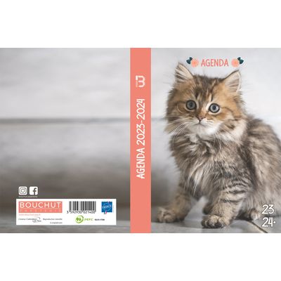Agenda Animaux - 1 jour par page - 12 x 17 cm - chaton - Bouchut