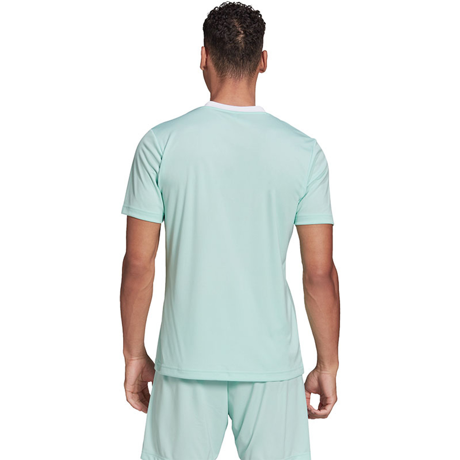 adidas Entrada 22 Training Shirt