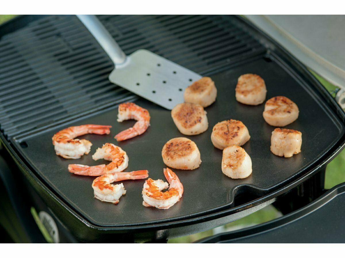 Weber Q 2000-serie bakplaat