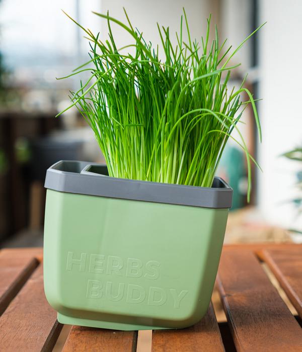 Gusta Garden Kräutertopf Herbs Buddy, ca.