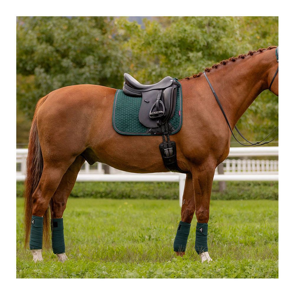 Le Mieux SUEDE SQUARE - Tapis de dressage spruce