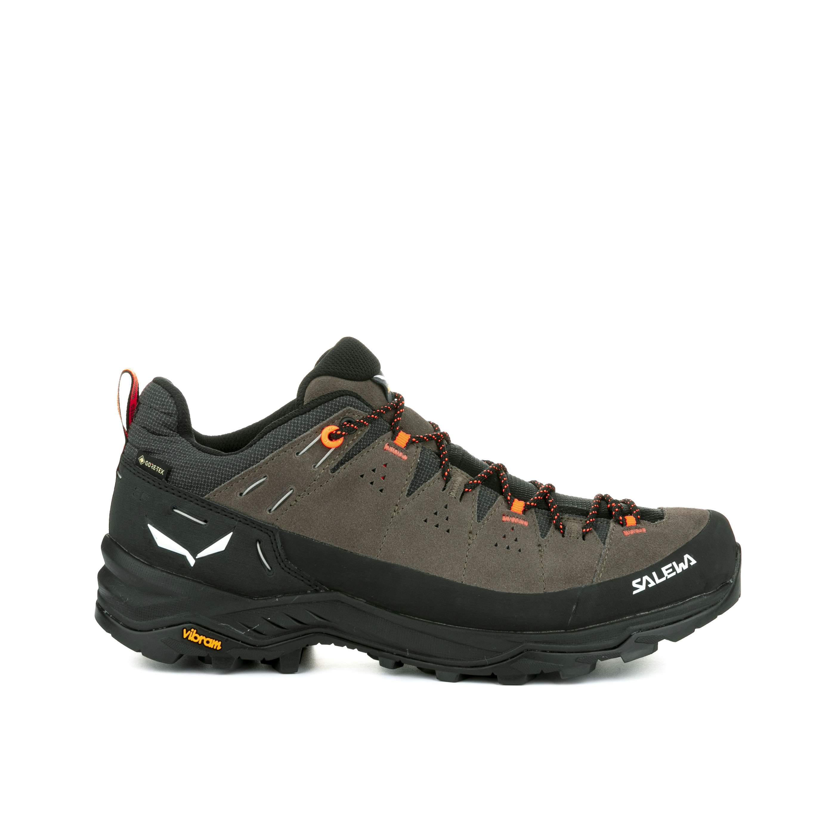 Alp Trainer 2 Gore-Tex® Schuh Herren