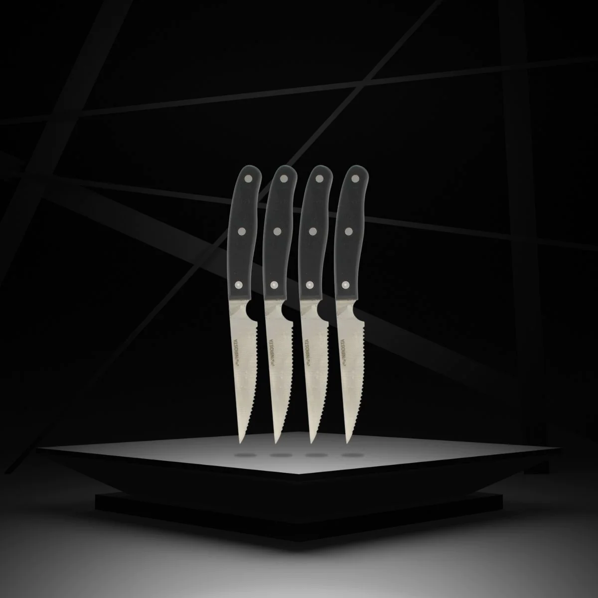Lot de 4 couteaux à steak 22 cm Fit Nirosta