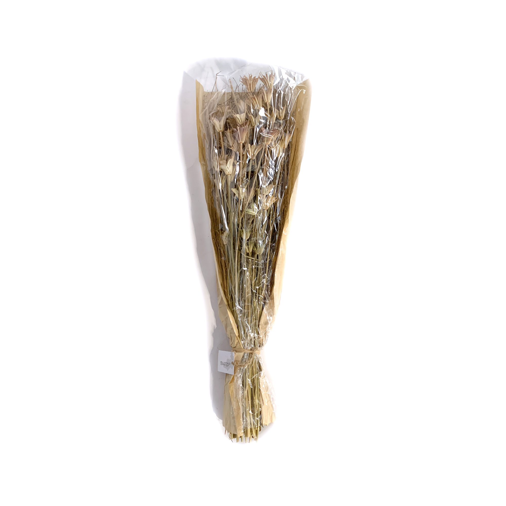 Trockenblumen-Bouquet 'Kümmel', H 60 cm von fischer's lagerhaus