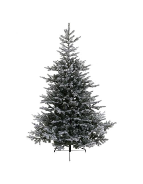 Everlands Grandis Fir Snowy - Kerstboom - Groen