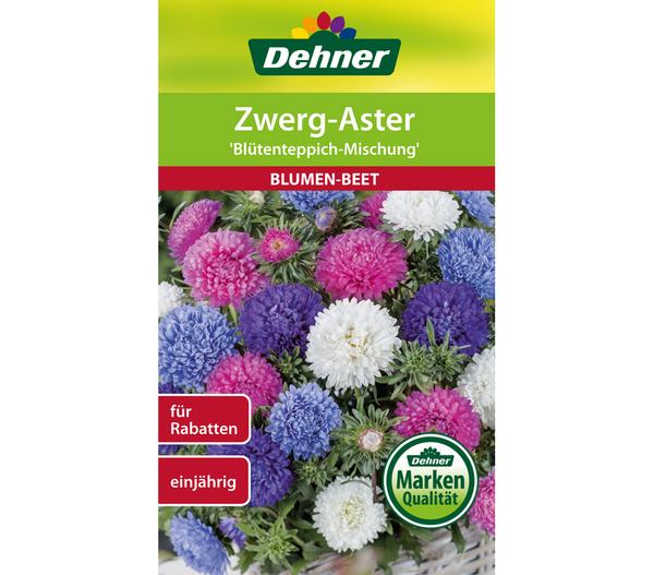 Dehner Samen für Zwerg-Aster