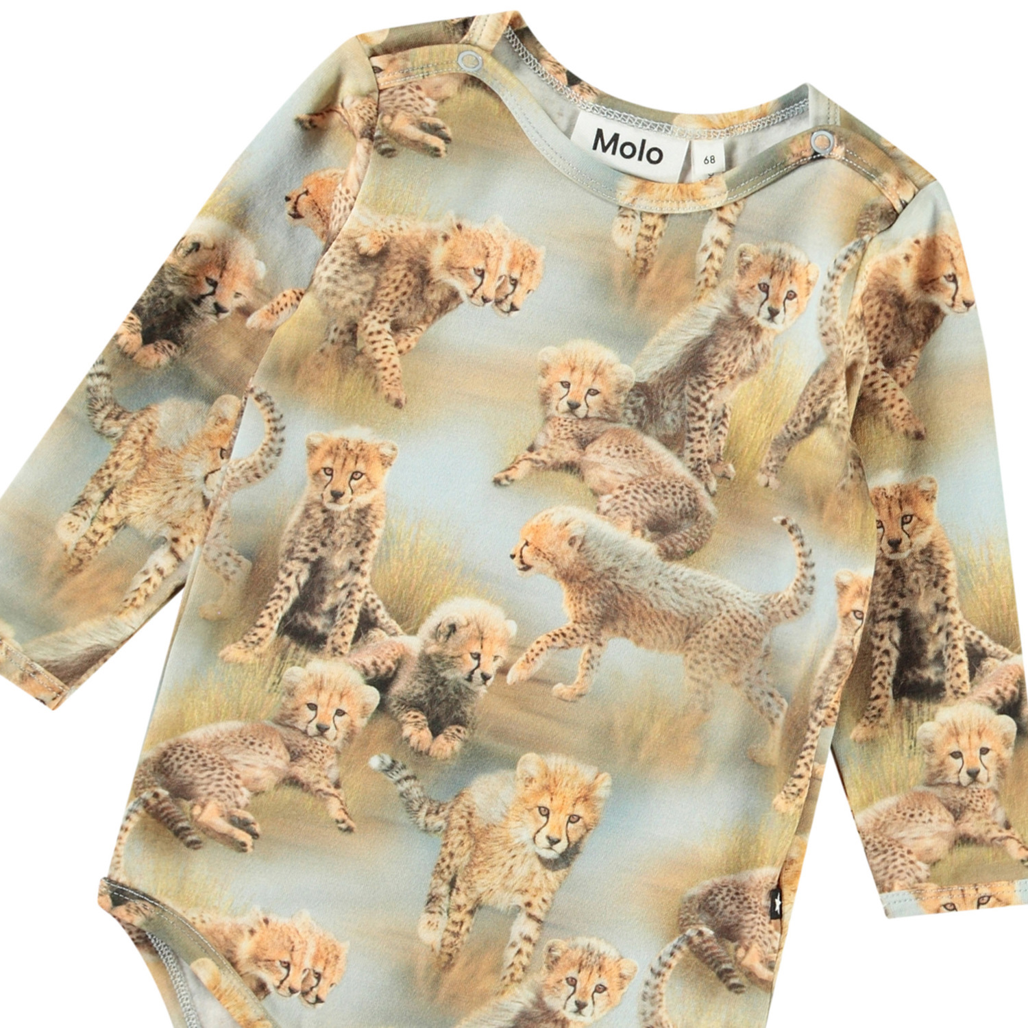 Foss - Cheetah Cubs