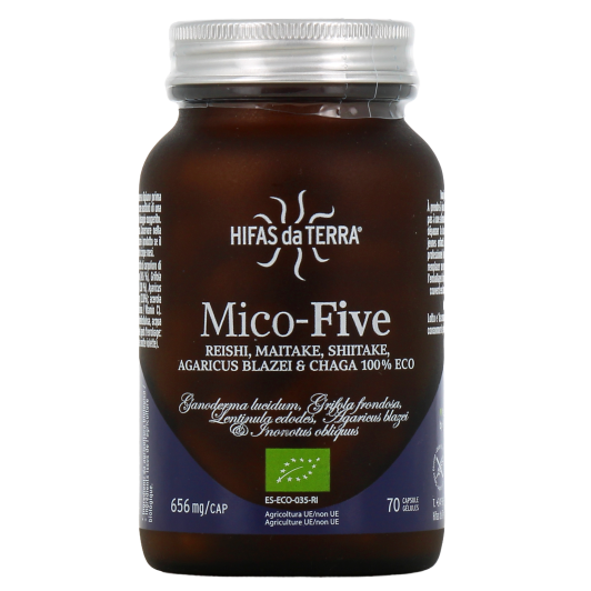 Hifas da Terra Mico-Five : 5 champignons médicinaux